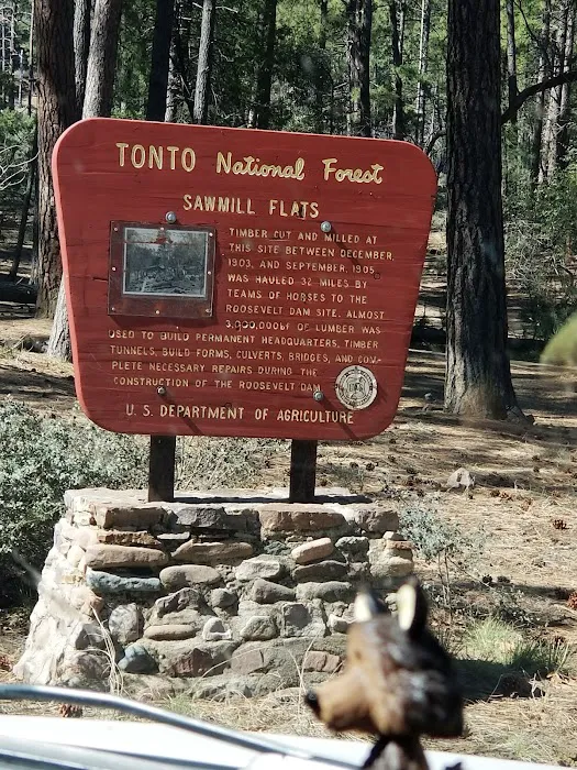 Sawmill Flats Campground Picture 9