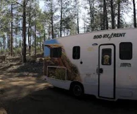Prescott Basin Dispersed Campsite 10