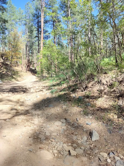 Prescott Basin Dispersed Campsite 10 Picture 6