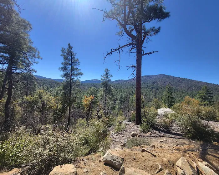 Prescott Basin Dispersed Campsite 8 Picture 6