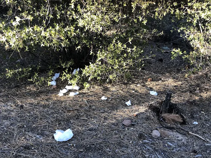 Prescott Basin Dispersed Campsite 12 Picture 6