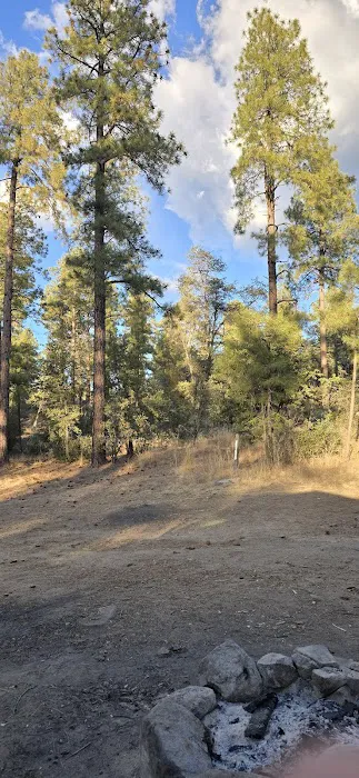Goldwater Lake Campsite 2 Picture 2