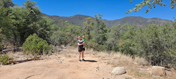 Goldwater Lake Campsite 2 Picture 3