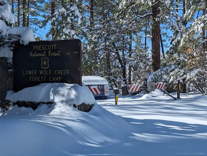 Lower Wolf Creek Campground Picture 2