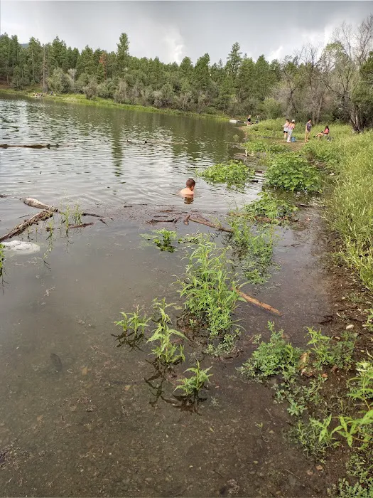 Lower Wolf Creek Campground Picture 5