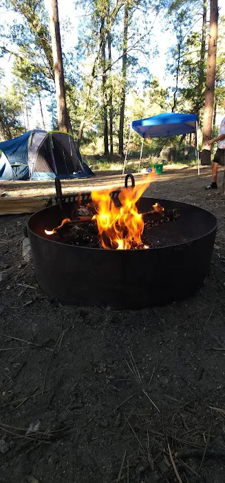 Lower Wolf Creek Campground Picture 4