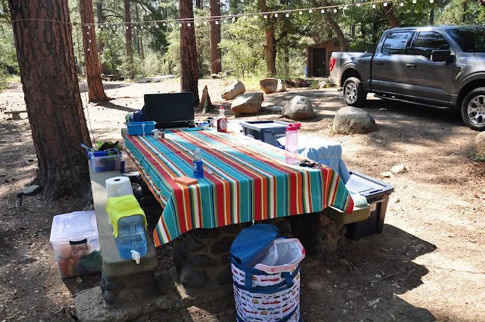 Lower Wolf Creek Campground Picture 8