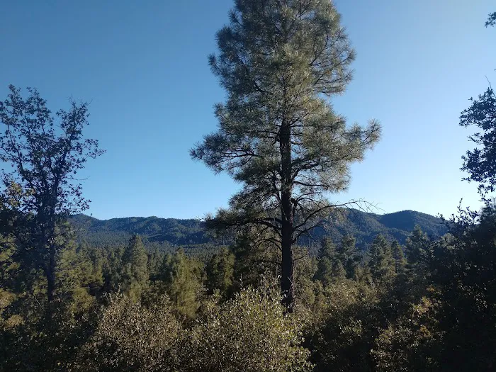 Lower Wolf Creek Campground Picture 9