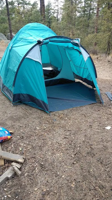 Upper Wolf Creek Campground Picture 4