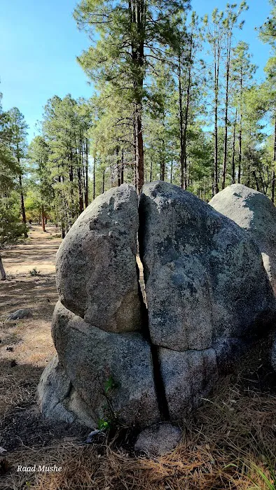 Upper Wolf Creek Campground Picture 9