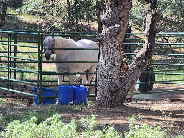 Groom Creek Horse Camp Picture 7