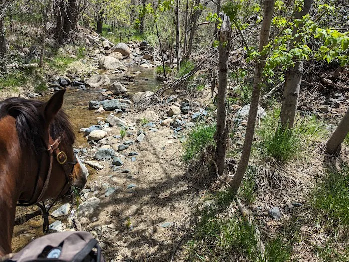 Groom Creek Horse Camp Picture 10