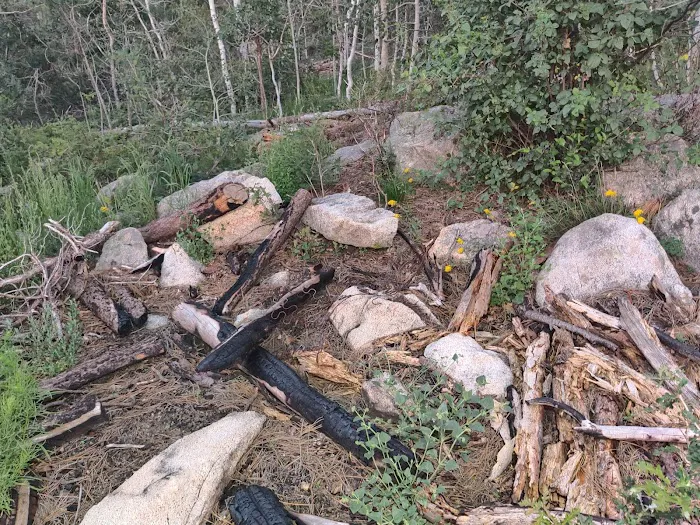 Dispersed Campsite 6 Picture 1