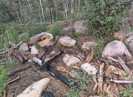 Dispersed Campsite 6