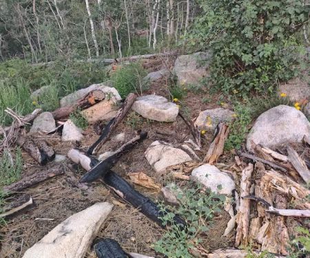 Dispersed Campsite 6