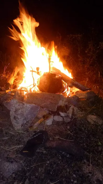 Dispersed Campsite 6 Picture 2
