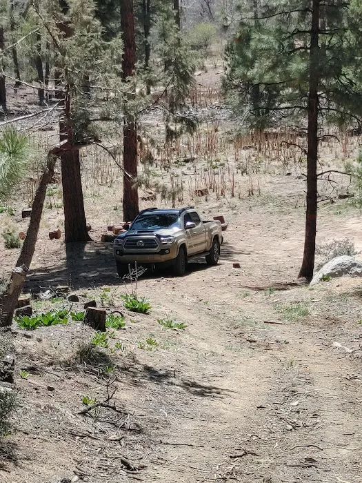 Dispersed Campsite 6 Picture 4