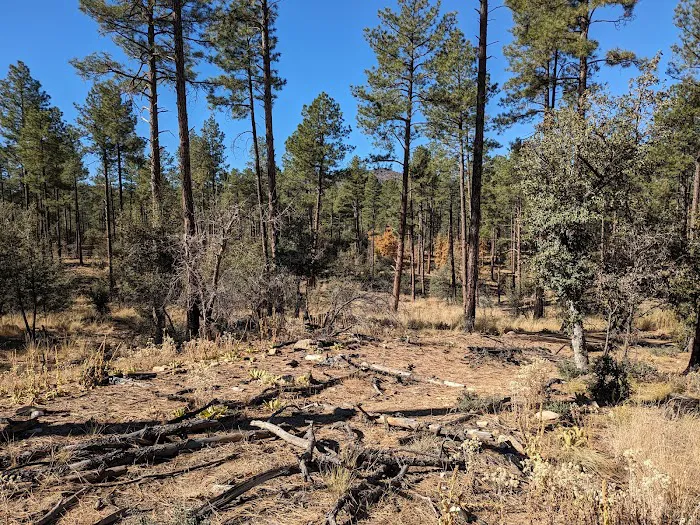 White Spar Campground Picture 1
