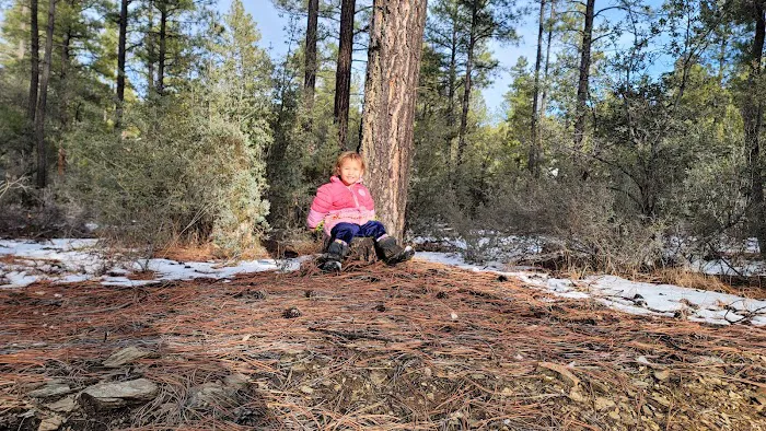 Enchanted Forest Trail Campground Picture 6