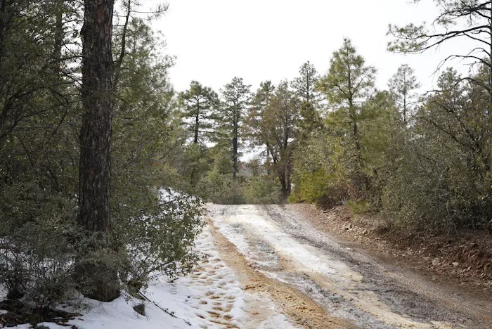 Enchanted Forest Trail Campground Picture 5