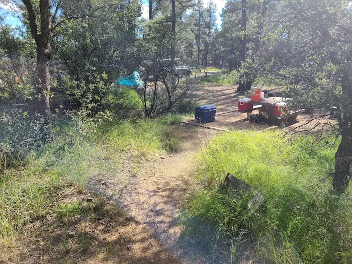 Hilltop Campground Loop A Picture 3