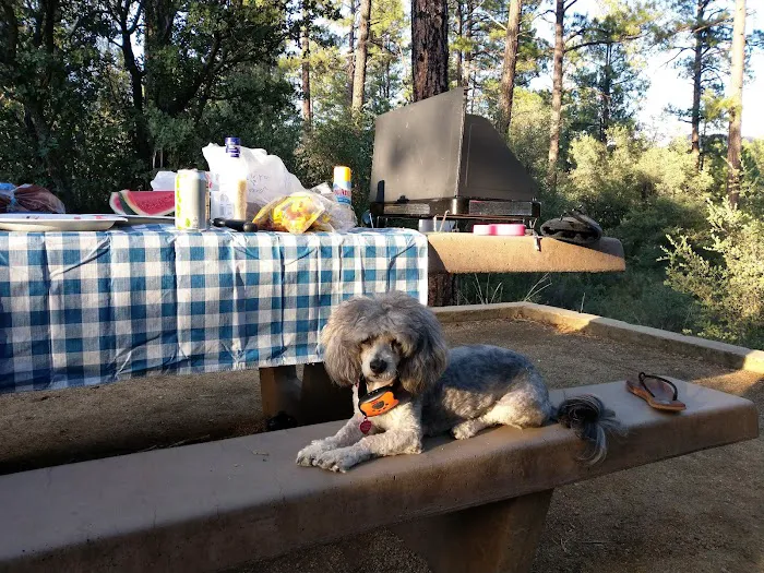 Hilltop Campground Loop A Picture 6