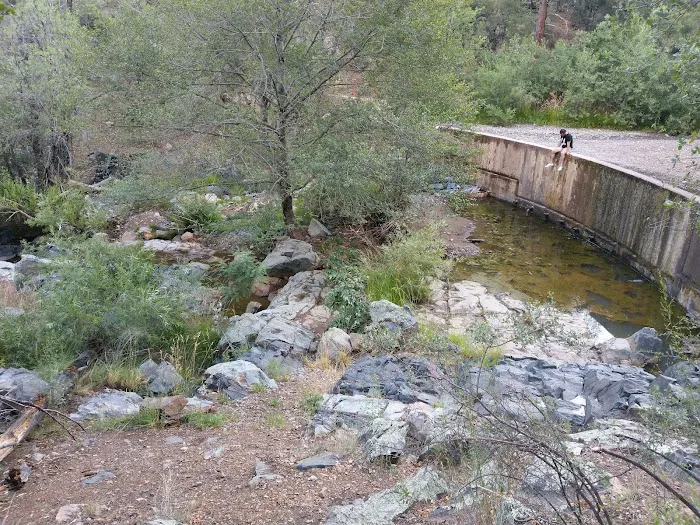 Hilltop Campground Loop A Picture 5