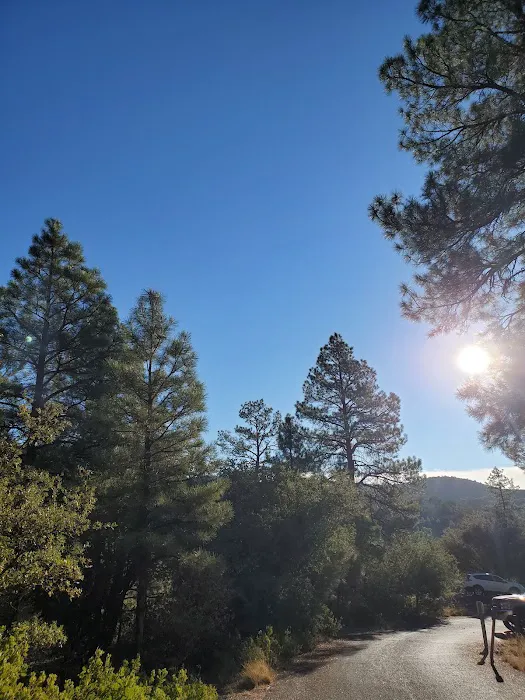 Hilltop Campground Picture 2