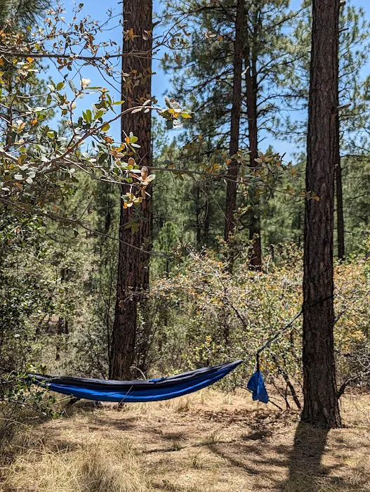 Hilltop Campground Picture 6