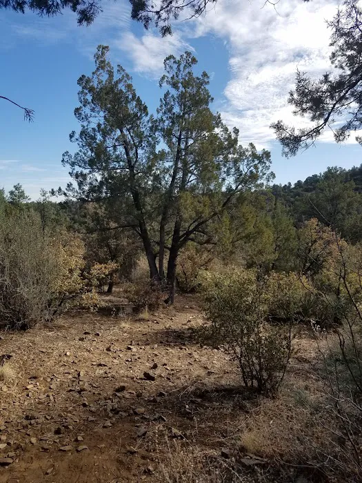 Hilltop Campground Picture 4