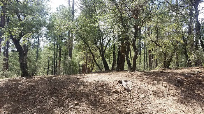 Hilltop Campground Picture 9