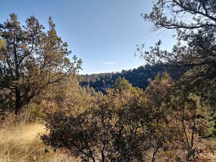 Hilltop Campground Loop B Picture 5