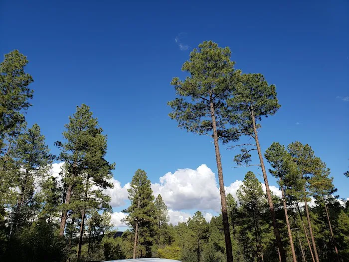 Eagle Ridge Group Campground Picture 1