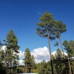Eagle Ridge Group Campground