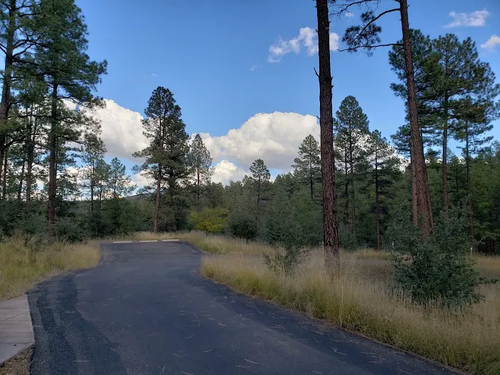 Eagle Ridge Group Campground Picture 2