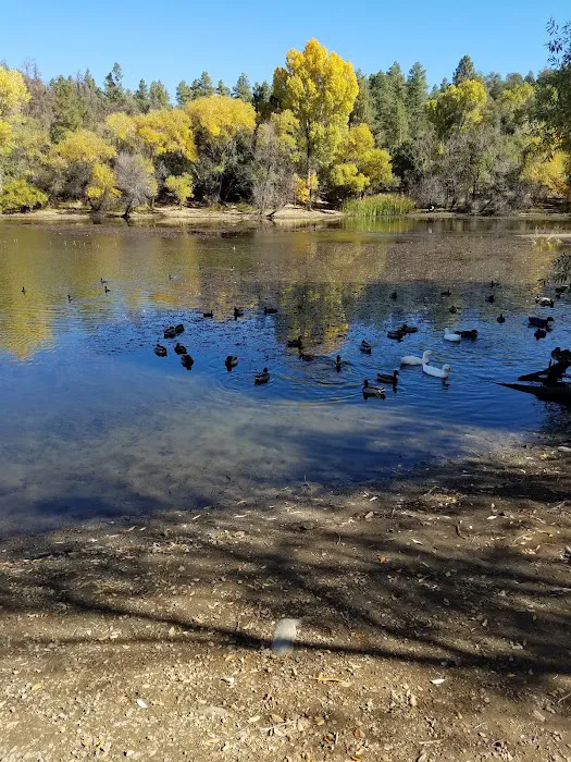 Eagle Ridge Group Campground Picture 4