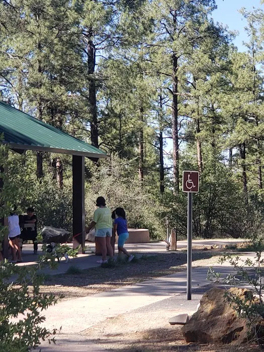 Eagle Ridge Group Campground Picture 10