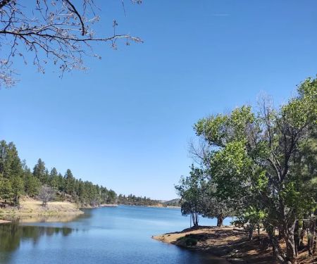 Lynx Campground