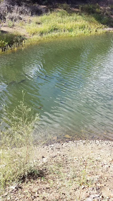 Lynx Campground Picture 9