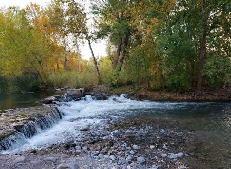 Clear Creek Fishing Site