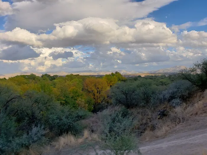 Clear Creek Fishing Site Picture 6