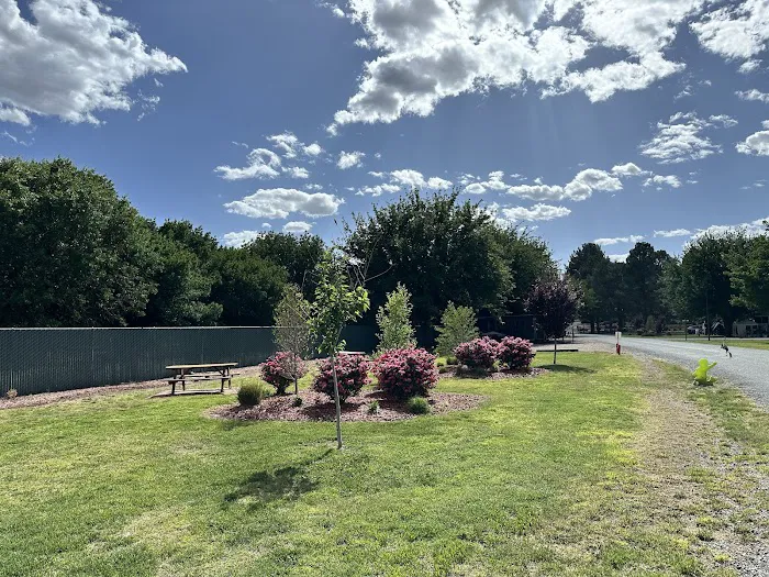 Verde River RV Resort & Cottages Picture 6