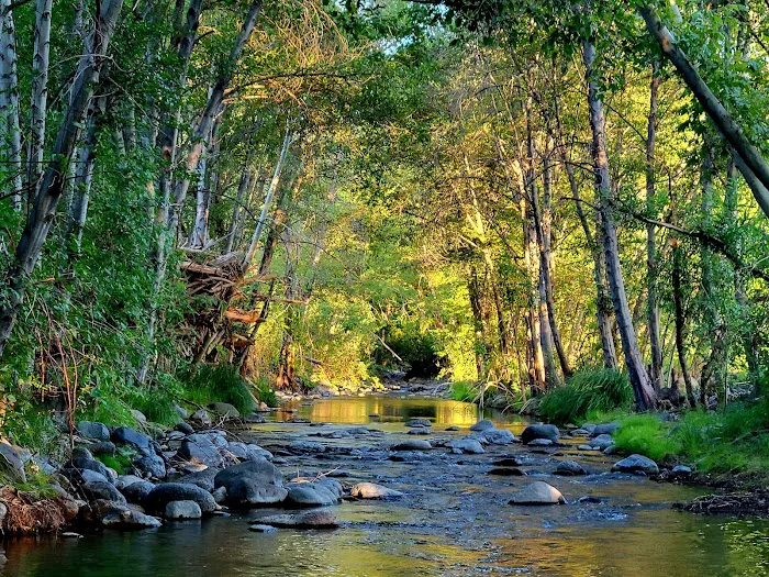 Clear Creek Campground Picture 2