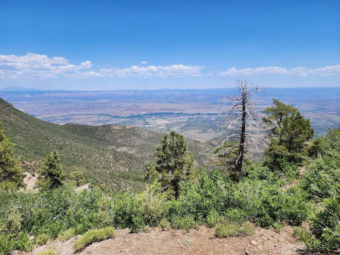 Mingus Mountain Vista & Picnic Observation Site (recgovnpsdata) Picture 1