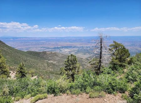 Mingus Mountain Vista & Picnic Observation Site (recgovnpsdata)