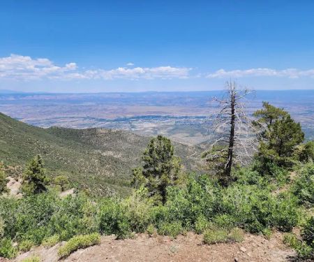 Mingus Mountain Vista & Picnic Observation Site (recgovnpsdata)