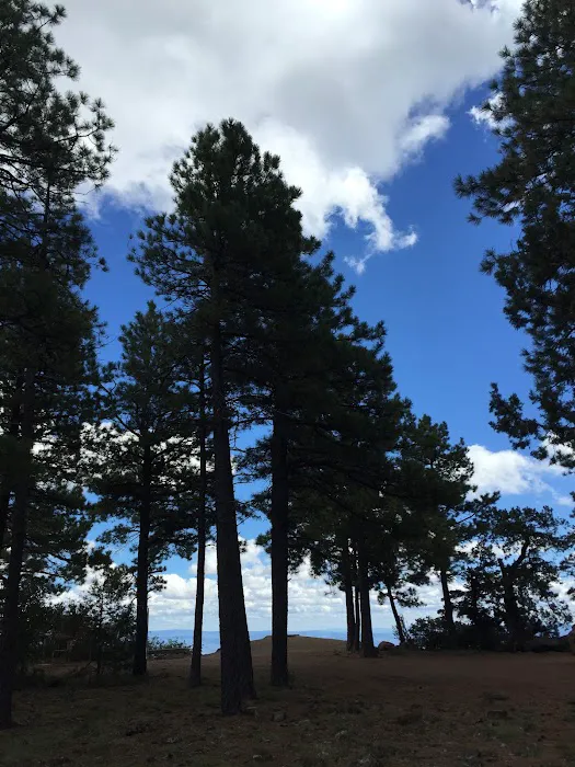 Mingus Mountain Vista & Picnic Observation Site (recgovnpsdata) Picture 6
