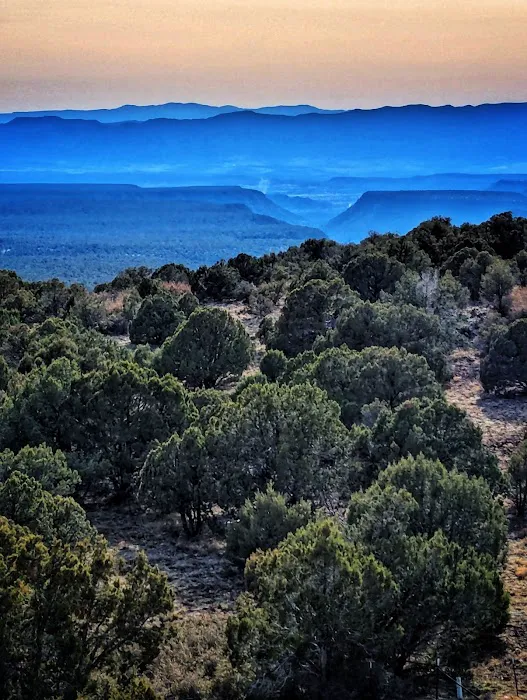 Mingus Mountain Picture 3