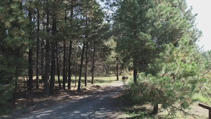 Mingus Mountain Picture 9