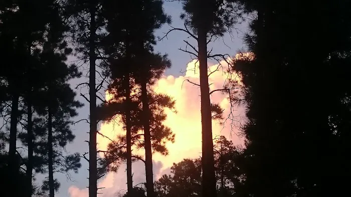 Mingus Mountain Camp Picture 6